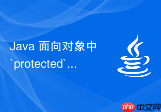 java 面向对象中 `protected` 权限怎么在子类中访问