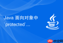 java 面向对象中 `protected` 权限怎么在子类中访问
