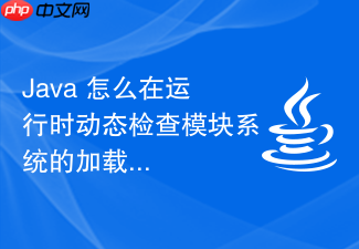 java 怎么在运行时动态检查模块系统的加载状态