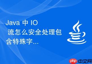 java 中 io 流怎么安全处理包含特殊字符的文件路径读取