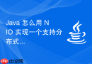 java 怎么用 nio 实现一个支持分布式事务的网络层