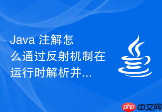 java 注解怎么通过反射机制在运行时解析并获取注解中定义的属性值