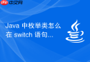 java 中枚举类怎么在 switch 语句中使用