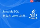 Java MySQL 怎么在 Java 应用中处理 MySQL 字符集乱码与连接超时异常
