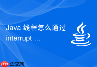 java 线程怎么通过 interrupt 方法优雅停止