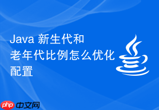java 新生代和老年代比例怎么优化配置