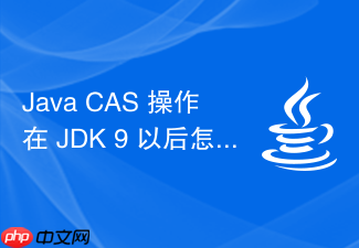 java cas 操作在 jdk 9 以后怎么通过句柄实现