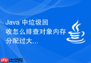 java 中垃圾回收怎么排查对象内存分配过大导致的频繁 gc