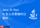 java 中 redis 怎么设置键的过期时间实现缓存自动失效
