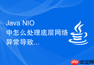 java nio 中怎么处理底层网络异常导致的无限循环