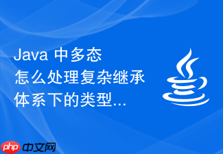 java 中多态怎么处理复杂继承体系下的类型向下转型安全校验