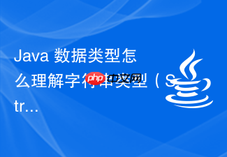 java 数据类型怎么理解字符串类型(string)在 java 中的特殊地位与不可变性