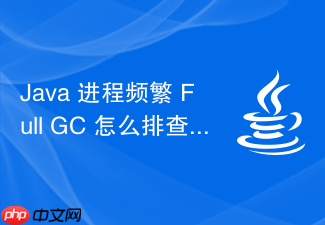 java 进程频繁 full gc 怎么排查内存原因