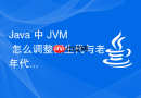 java 中 jvm 怎么调整新生代与老年代的内存比例