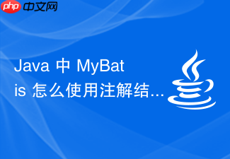 java 中 mybatis 怎么使用注解结合 provider 动态构建 sql