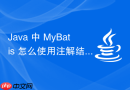 Java 中 MyBatis 怎么使用注解结合 Provider 动态构建 SQL
