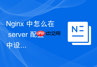 nginx 中怎么在 server 配置中设置自定义的头部信息过滤规则