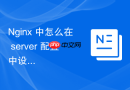 nginx 中怎么在 server 配置中设置自定义的头部信息过滤规则