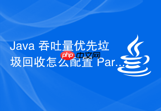 java 吞吐量优先垃圾回收怎么配置 parallel 收集器
