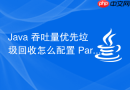 Java 吞吐量优先垃圾回收怎么配置 Parallel 收集器