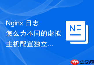 nginx 日志怎么为不同的虚拟主机配置独立的访问与错误日志