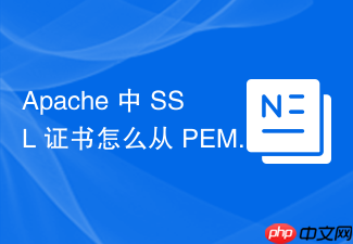 apache 中 ssl 证书怎么从 pem 格式转换为 apache 支持的格式