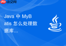 java 中 mybatis 怎么处理数据库方言差异适配多种数据库