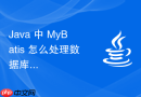 Java 中 MyBatis 怎么处理数据库方言差异适配多种数据库