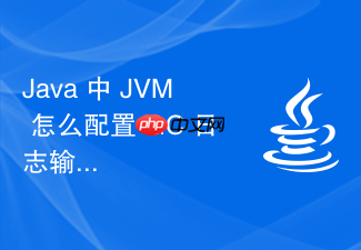 java 中 jvm 怎么配置 gc 日志输出参数进行性能调优