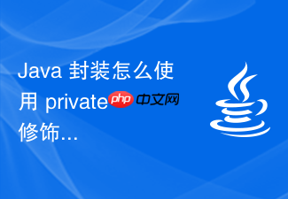 java 封装怎么使用 private 修饰符隐藏对象的内部状态与实现细节
