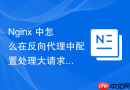 nginx 中怎么在反向代理中配置处理大请求头性能损耗的代理方案
