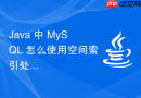 Java 中 MySQL 怎么使用空间索引处理地理位置数据