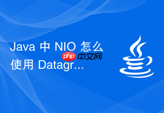 java 中 nio 怎么使用 datagramchannel 实现 udp 网络传输