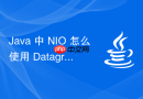 Java 中 NIO 怎么使用 DatagramChannel 实现 UDP 网络传输
