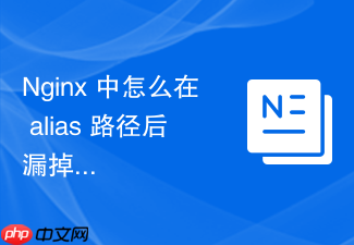 nginx 中怎么在 alias 路径后漏掉斜杠导致访问报错怎么排查