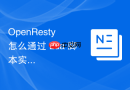 openresty 怎么通过 lua 脚本实现动态降级与熔断保护机制