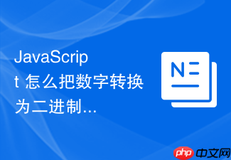javascript 怎么把数字转换为二进制或十六进制字符串