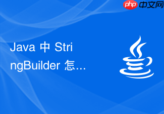 java 中 stringbuilder 怎么在验证码生成时高效组装随机字符