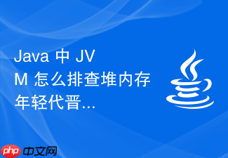 java 中 jvm 怎么排查堆内存年轻代晋升老年代过快问题
