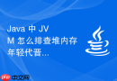 Java 中 JVM 怎么排查堆内存年轻代晋升老年代过快问题
