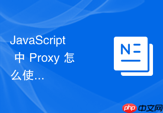 javascript 中 proxy 怎么使用 set 拦截器实现对象属性的数据类型校验与边界检查
