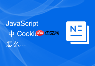 javascript 中 cookie 怎么在前端框架状态持久化插件中作为小型状态存储载体