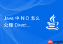 java 中 nio 怎么处理 directbytebuffer 的内存回收机制