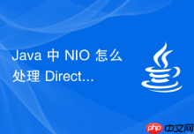 Java 中 NIO 怎么处理 DirectByteBuffer 的内存回收机制
