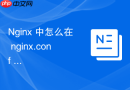 nginx 中怎么在 nginx.conf 中配置基于域名的虚拟主机隔离