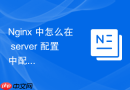 nginx 中怎么在 server 配置中配置严格的 ssl 会话重用缓存