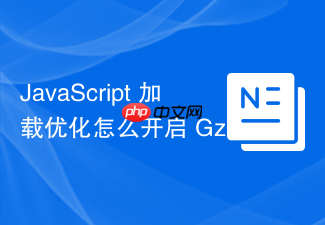 javascript 加载优化怎么开启 gzip 或 brotli 文本压缩传输