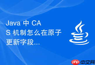 java 中 cas 机制怎么在原子更新字段时处理权限与可见性问题