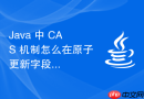 java 中 cas 机制怎么在原子更新字段时处理权限与可见性问题