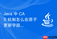 Java 中 CAS 机制怎么在原子更新字段时处理权限与可见性问题